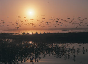 Windows to the Wetlands - courtesy of Tourism Northern Territory