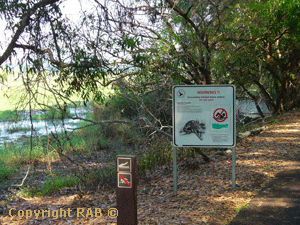 The walk along the sealed road at Fogg Dam