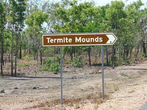 Termite Mounds right on the Arnhem Highway before the Bark Hut Inn Roadhouse
