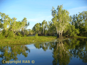 reflections on the Yellow Waters Billabong