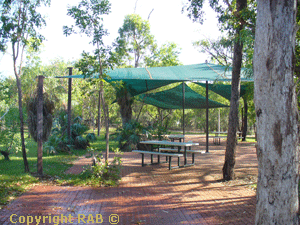 The shaded area at Jim Jim campground used mainly by tour groups 