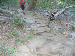 One of our Gagudju Dreaming Guides on the Jim Jim Gorge track.