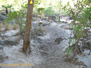 The first part of the Jim Jim Gorge track. See the yellow marker guide on the tree