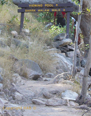 The turn off to the Baark malam walk and onto the Jim Jim plunge pool