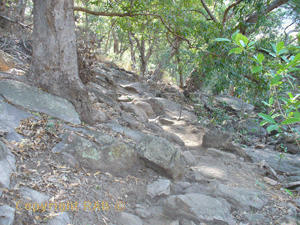 The first part of the Jim Jim Gorge track