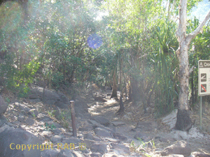 The track continues after the  Gorge Viewing Area - where it becomes sandy and some small embedded rocks
