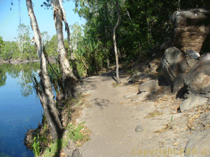 The track continues after the  Gorge Viewing Area - where it becomes sandy along the pools edge