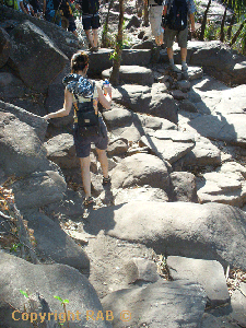 The track continues after the  Gorge Viewing Area - where it becomes very rocky and uneven terrain