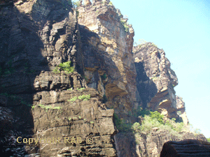 The cliffs on entering the pool at the end of Jim Jim Gorge