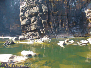 The section where it divides the main plunge pool to the beach pool
