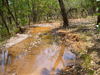 Jim Jim 4WD track - it's a 4 hour round trip and the track ranges from spring feed watercrossings, to sandie banked tracks, to corrigated course road surfaces.