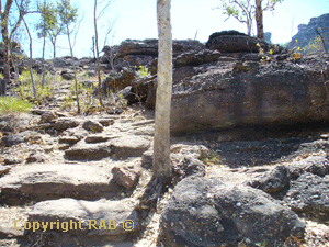 Some of the uneven track from the carpark at Nourlangie Rock more towards the end of the track