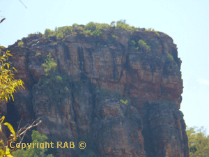 Surrounding scenery at the Nourlangie Rock carpark