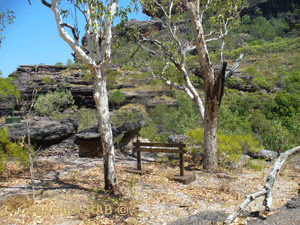 Some of the uneven track from the carpark at Nourlangie Rock more towards the end of the track