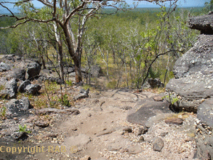 Some of the uneven track from the carpark at Nourlangie Rock more towards the end of the track