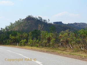 The drive was very scenic with jagged ancient rock escarpments on the right towering over our 4WD and on the left low lying floodplains with numerous flocks of birds. 