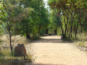 The track is very easy to stroll along as you can see to Ubirr.