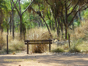 The well signed  track is very easy to stroll along as you can see to Ubirr.
