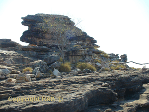 On the top of Ubirr 