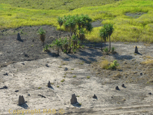 Looking out from the top of Ubirr 