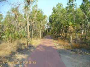 The paved very accessable walk to Mamukala Wetlands Bird Watching in Kakadu National Park
